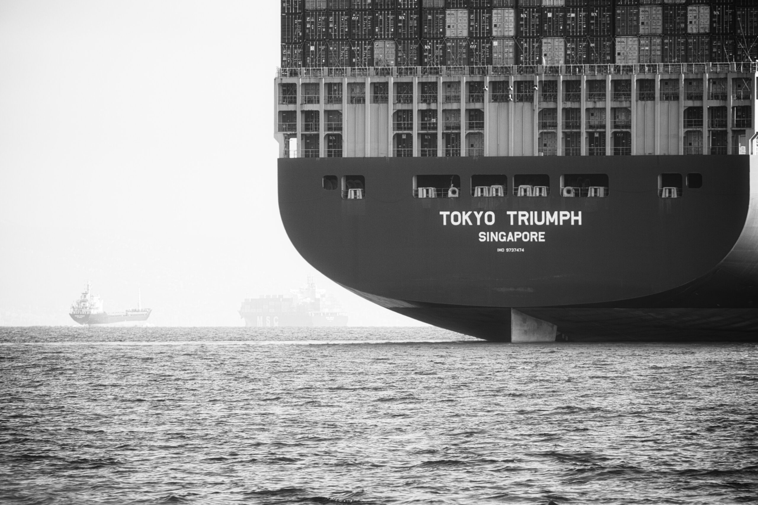 Business Ideas & Trends